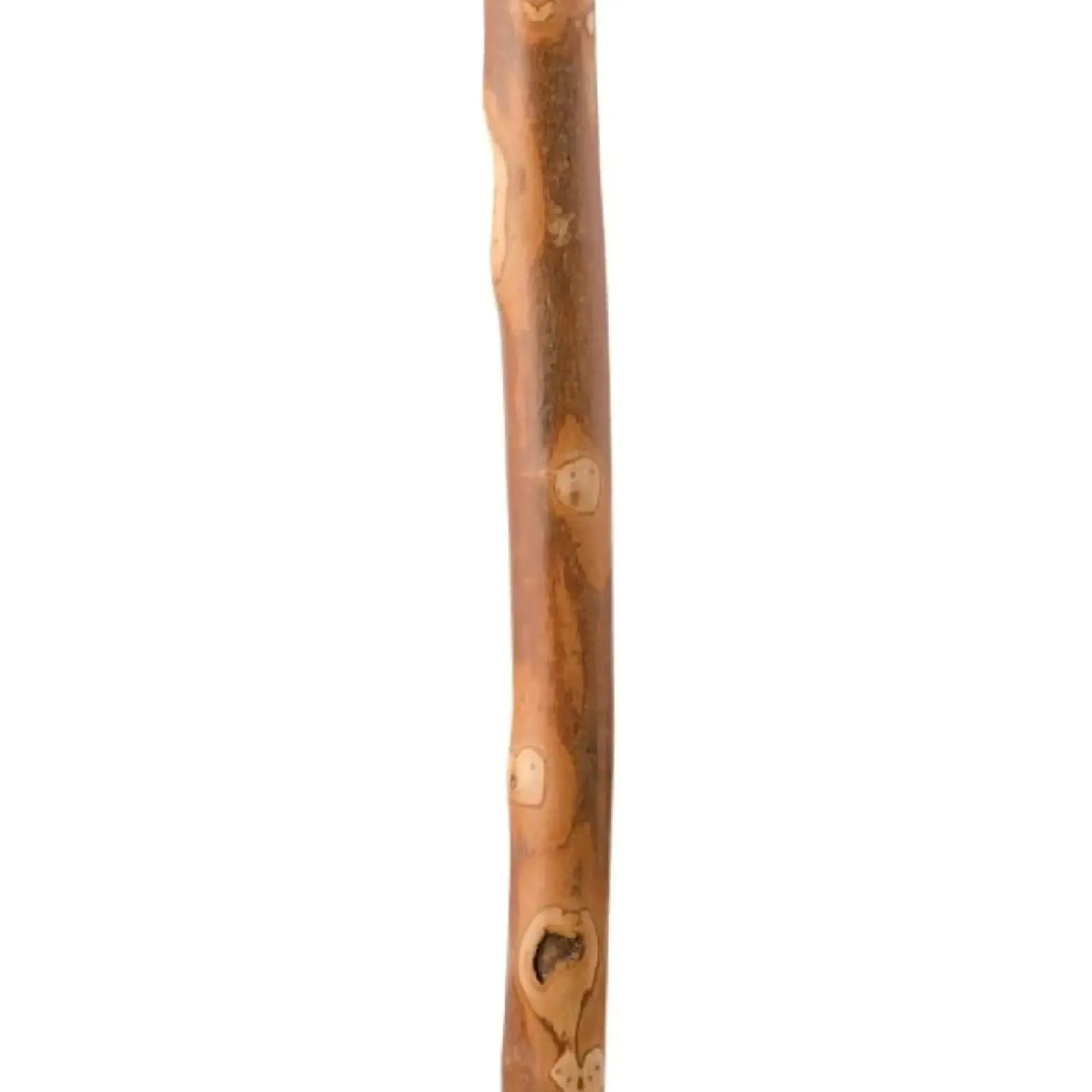 Brazos™ Sapling American Hardwood Free-Form Walking Stick with Compass, 55-Inch Height, Brown