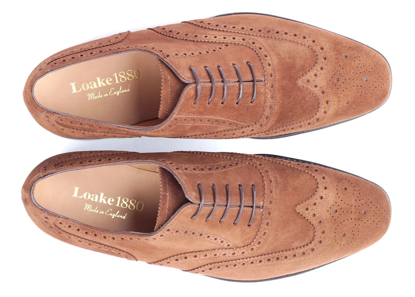 Buckingham - Polo Suede