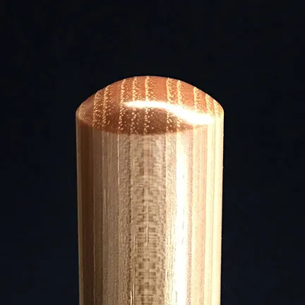 Enhanced Hiking Stick