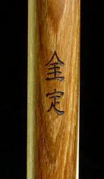 Enhanced Hiking Stick