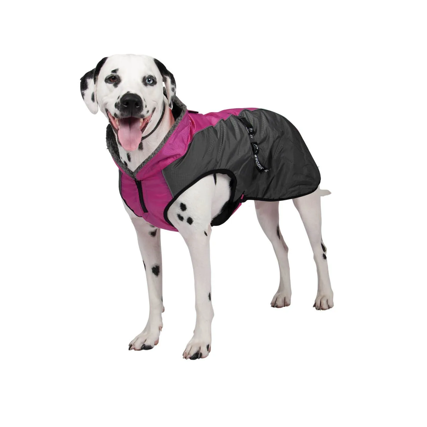 Shedrow K9 Chinook Festival Fuschia