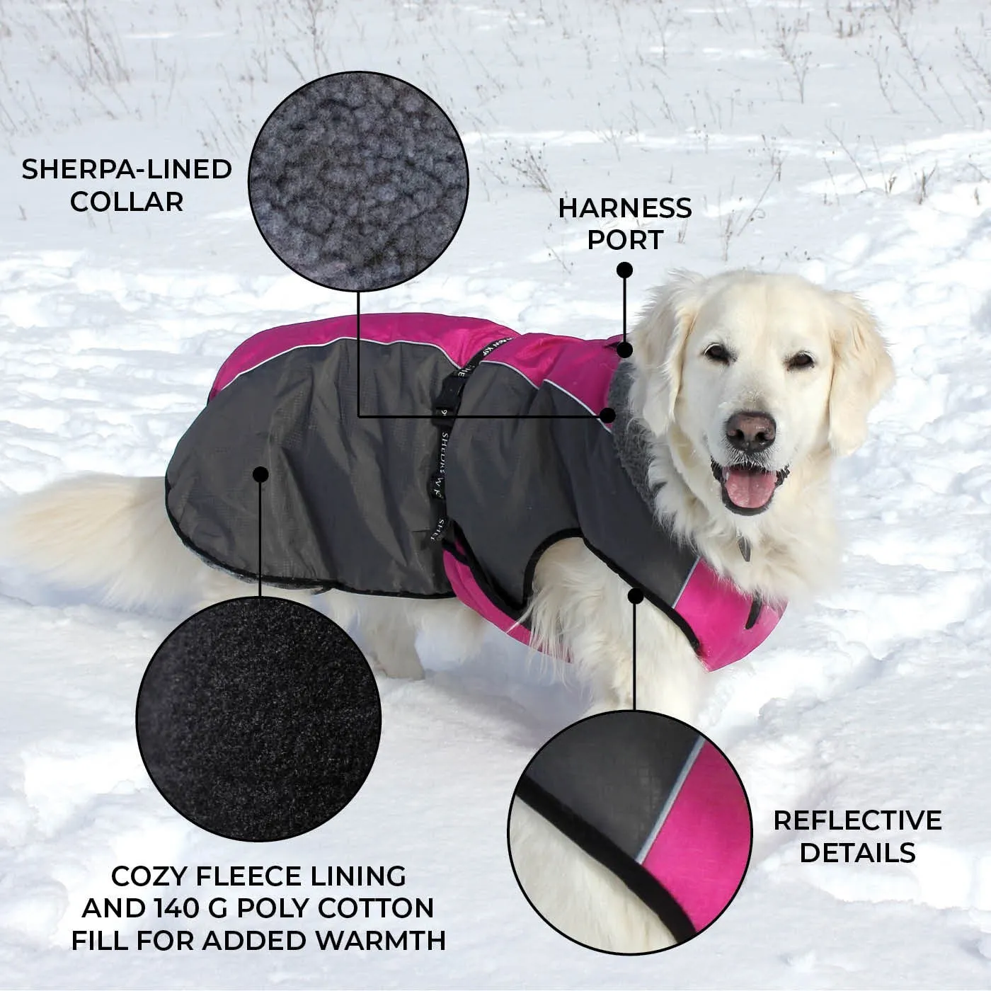 Shedrow K9 Chinook Festival Fuschia