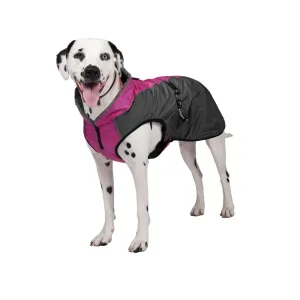 Shedrow K9 Chinook Festival Fuschia