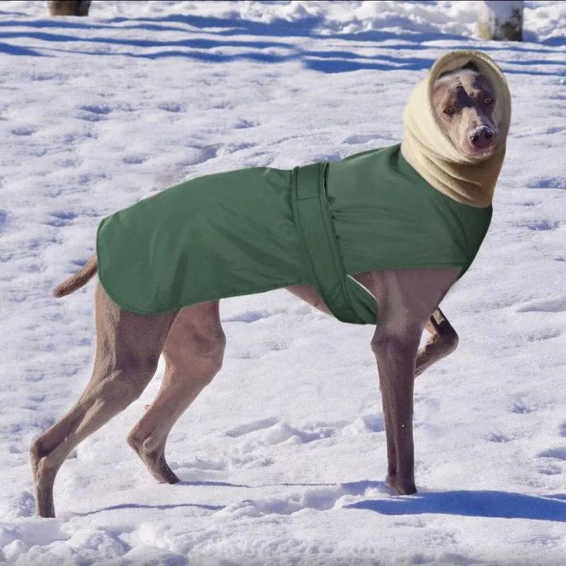 Waterproof Fleece Greyhound & Large Dog Coat