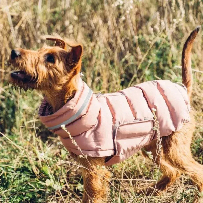 Winter Ready Pup: Stay Cozy with our Down Jacket Waterproof Fleece Vest - Thicken Coat Clothing for Dogs and Cats, Ideal Pet Costume for Chilly Adventures