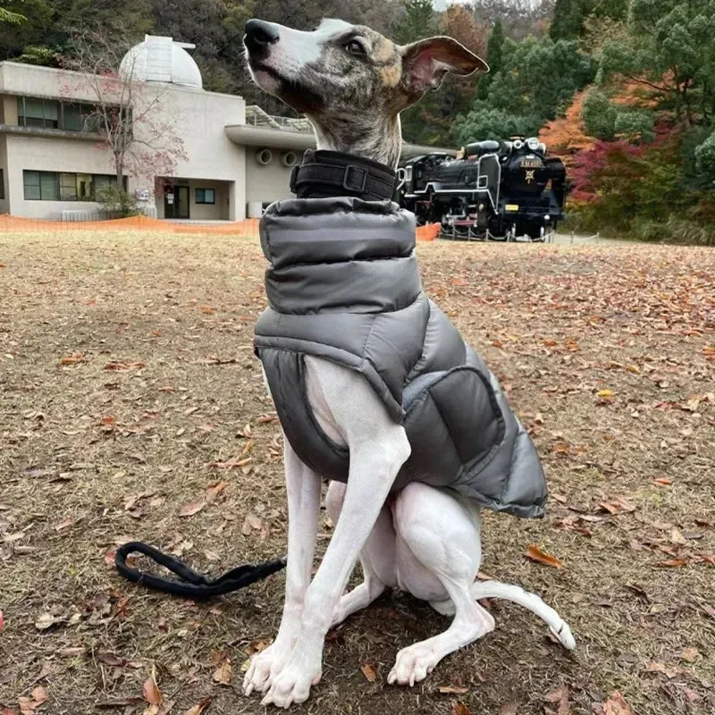 Winter Ready Pup: Stay Cozy with our Down Jacket Waterproof Fleece Vest - Thicken Coat Clothing for Dogs and Cats, Ideal Pet Costume for Chilly Adventures
